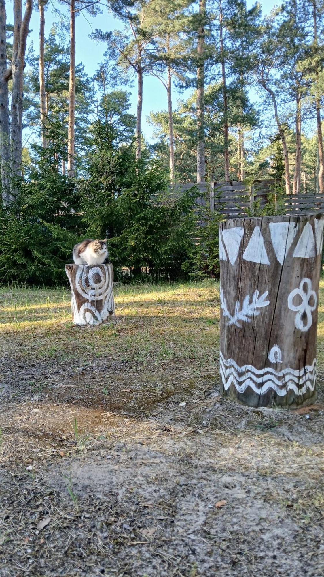 Lahemajutus Lodge Kloogaranna